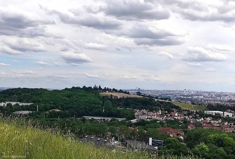 Le samedi 18 septembre 2021, le CAUE du Val-d'Oise vous invite à une balade "vue d'en haut" à Argenteuil, une lecture due paysage accompagnée des paysagistes du CAUE du Val-d'Oise !