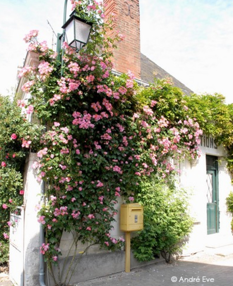 Chédigny - village jardin.jpg