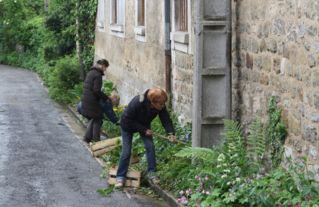 Auvers_0477.JPG