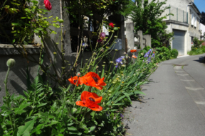 Auvers rue du gré (2).JPG