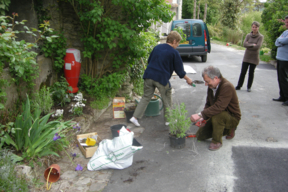 Plant.Haute Isle24-20 chemin du village.JPG